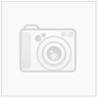 Nebula Woman Shorts ANT 3XL Teknisk kamp-og treningsshorts til dame